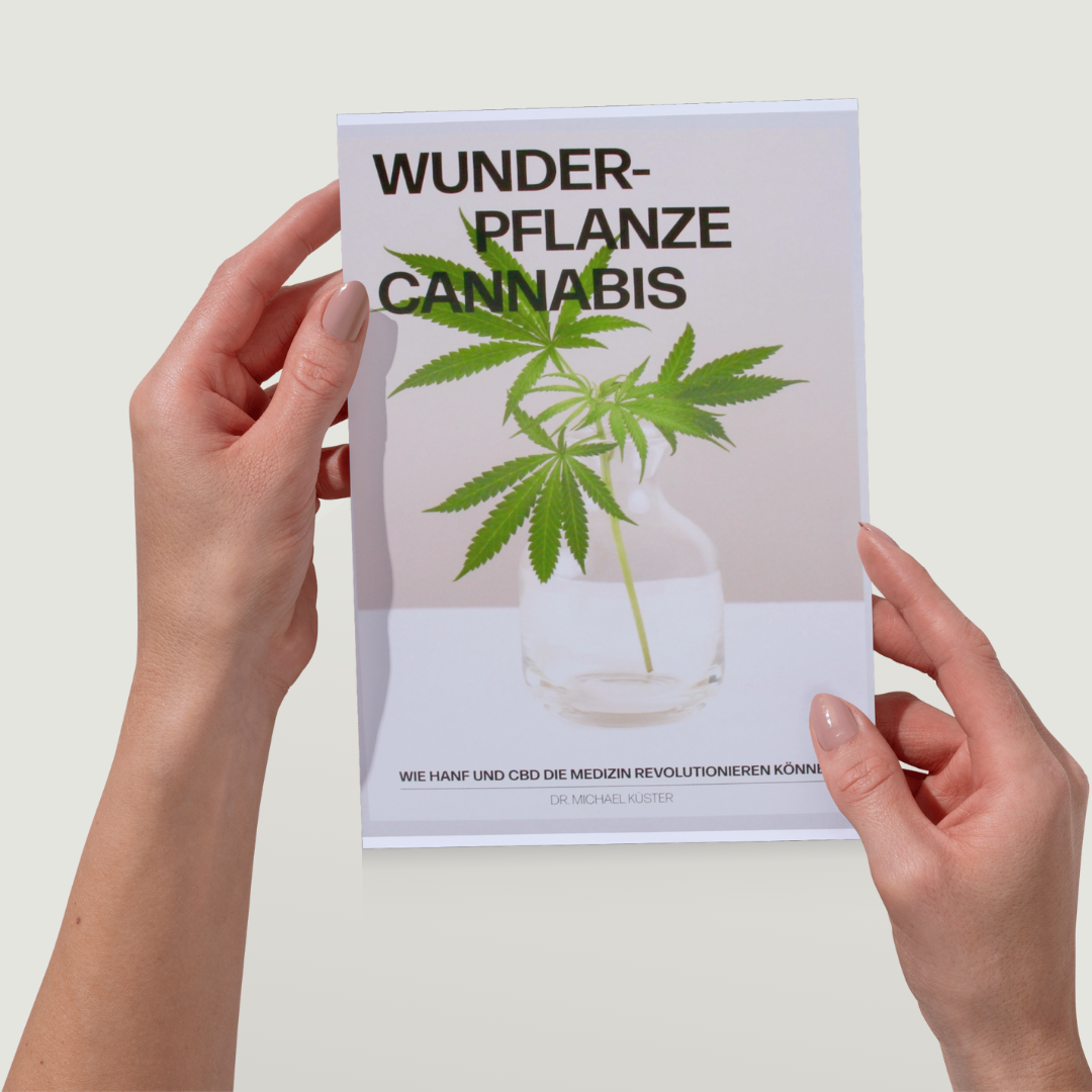 Broschüre "Cannabis"