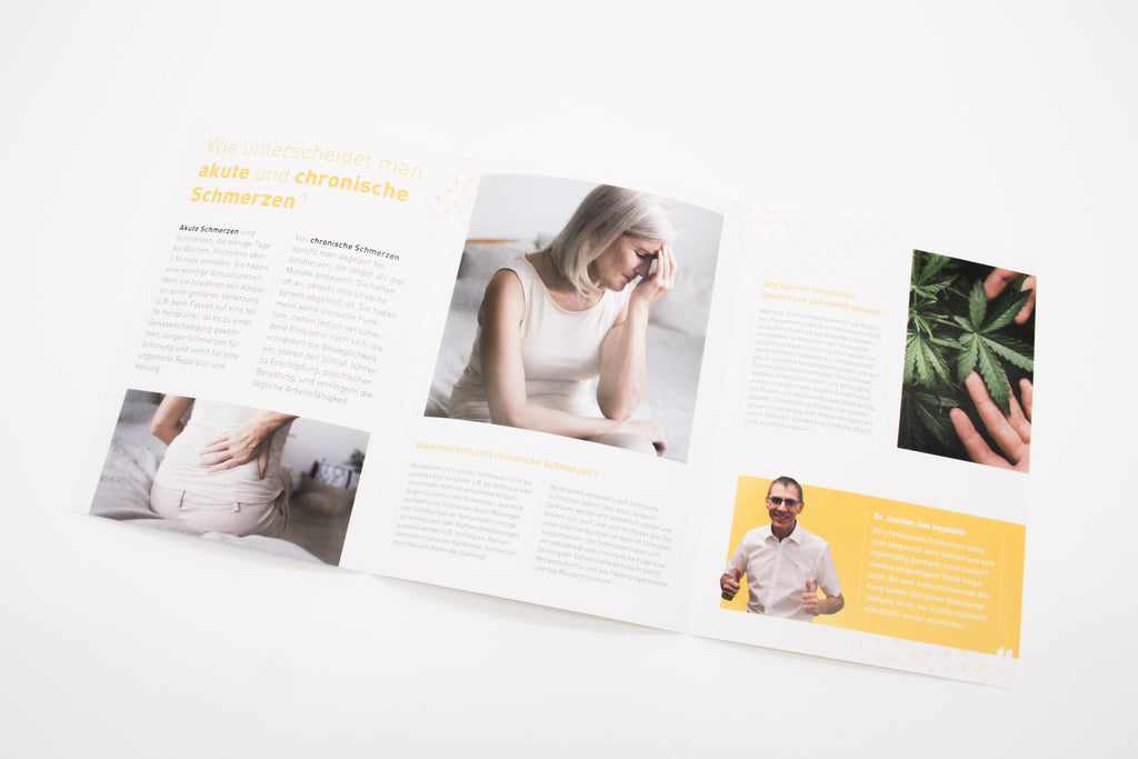 Flyer "Die Kraft der Natur gegen chronische Schmerzen"