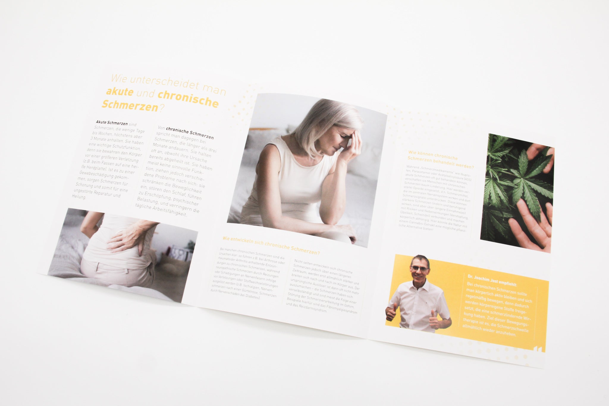 Flyer "Die Kraft der Natur gegen chronische Schmerzen"